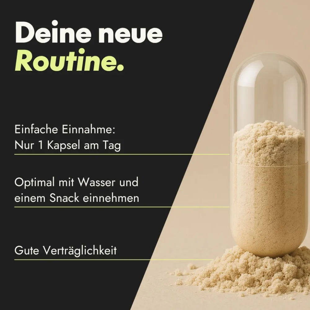 Active Brain Zen Mood - Nervenfunktion¹²³ & psychische Funktion¹³ - Mit Johanniskraut>serotalin New