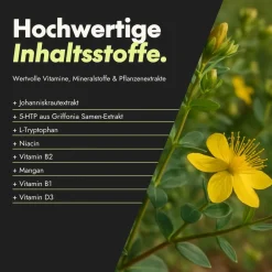 Active Brain Zen Mood - Nervenfunktion¹²³ & psychische Funktion¹³ - Mit Johanniskraut><noscript><img width=
