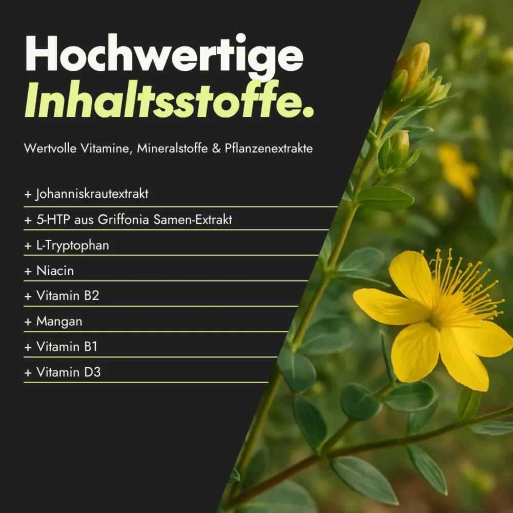 Active Brain Zen Mood - Nervenfunktion¹²³ & psychische Funktion¹³ - Mit Johanniskraut>serotalin New