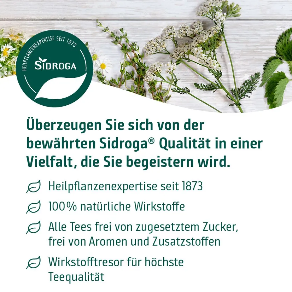® Fencheltee|Sidroga