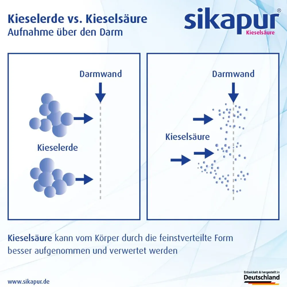 ® Kieselsäure-Gel|Sikapur Sale