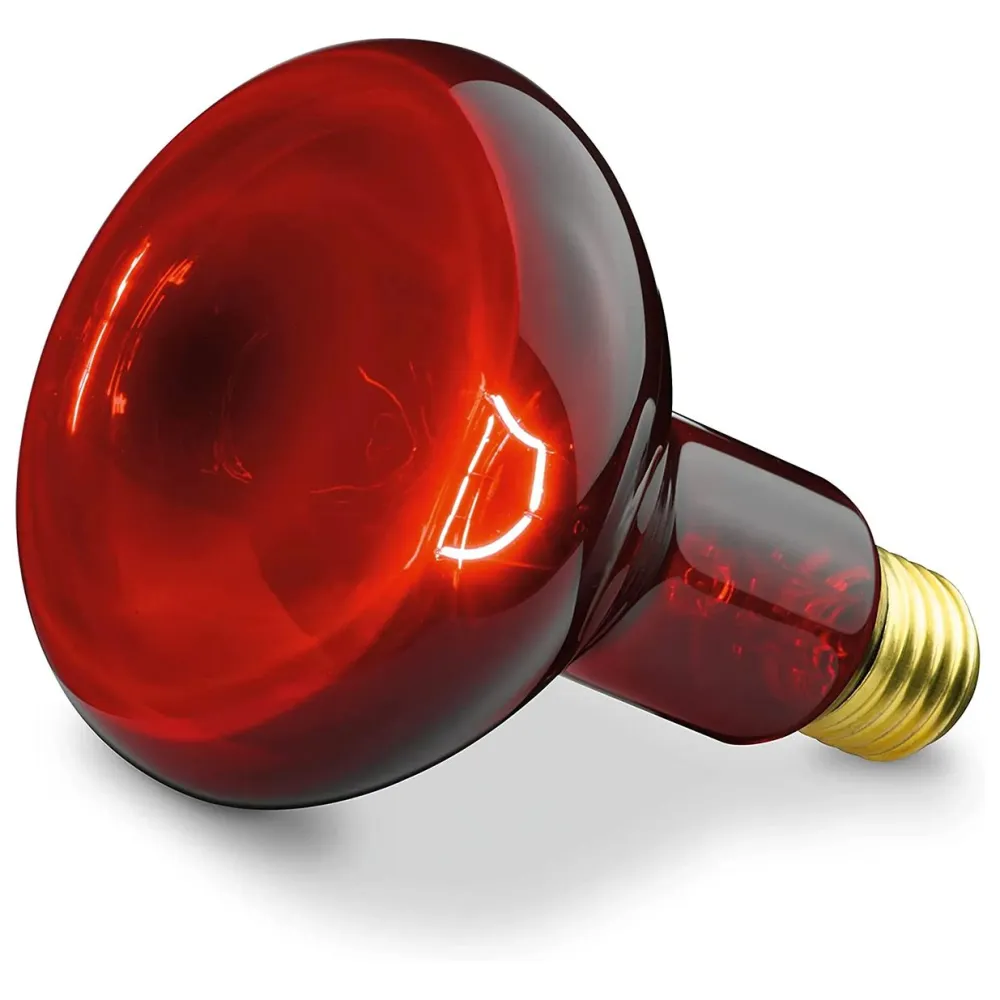 SIL 06 Infrarotlampe mit Schutzgitter> Hot