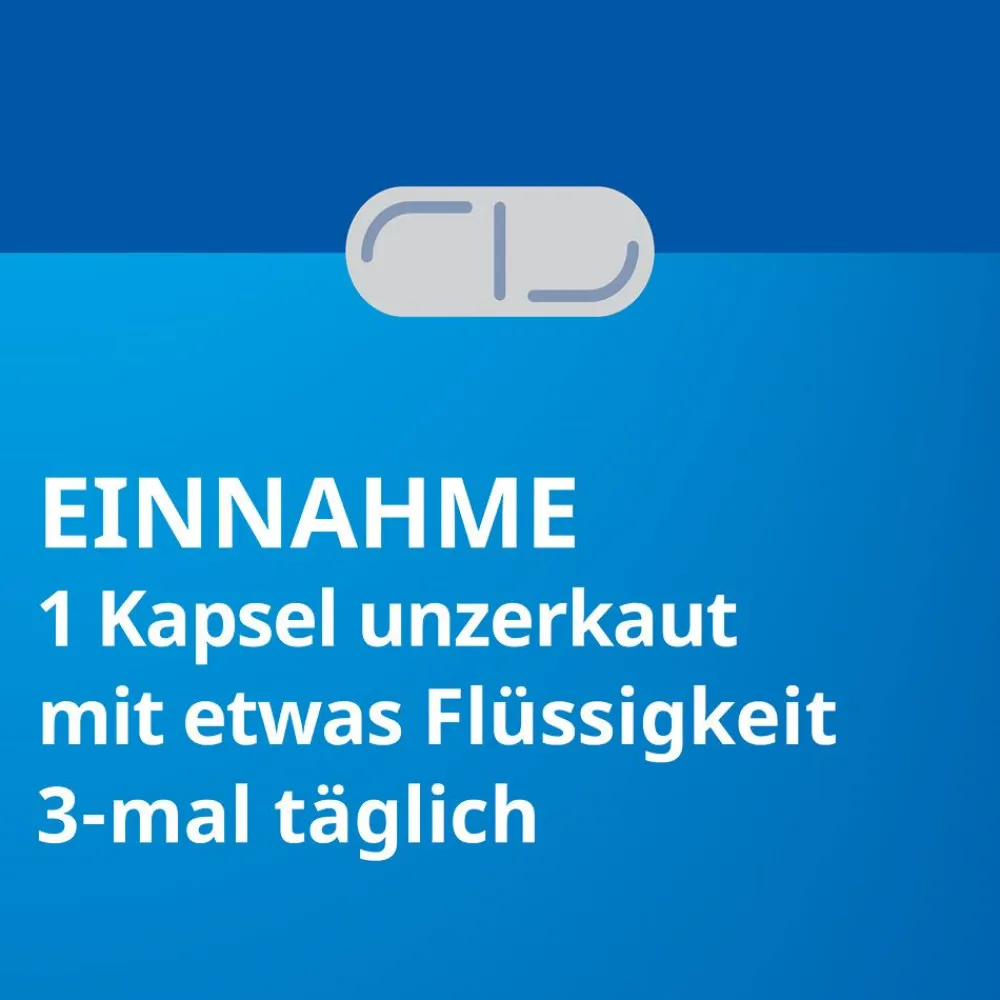 Silymarin STADA® 109 mg Hartkapseln| Hot