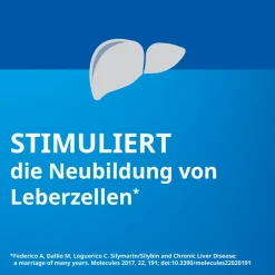Silymarin STADA® 156 mg Hartkapseln Mariendistelfrüchte-Trockenextrakt standardisiert auf 156 mg Silymarin| Best