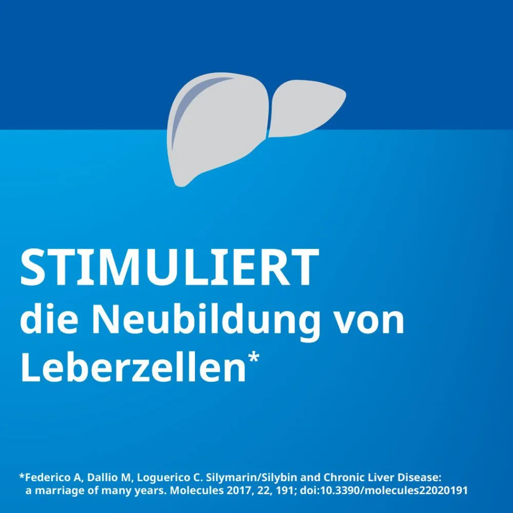 Silymarin STADA® 156 mg Hartkapseln Mariendistelfrüchte-Trockenextrakt standardisiert auf 156 mg Silymarin| Best