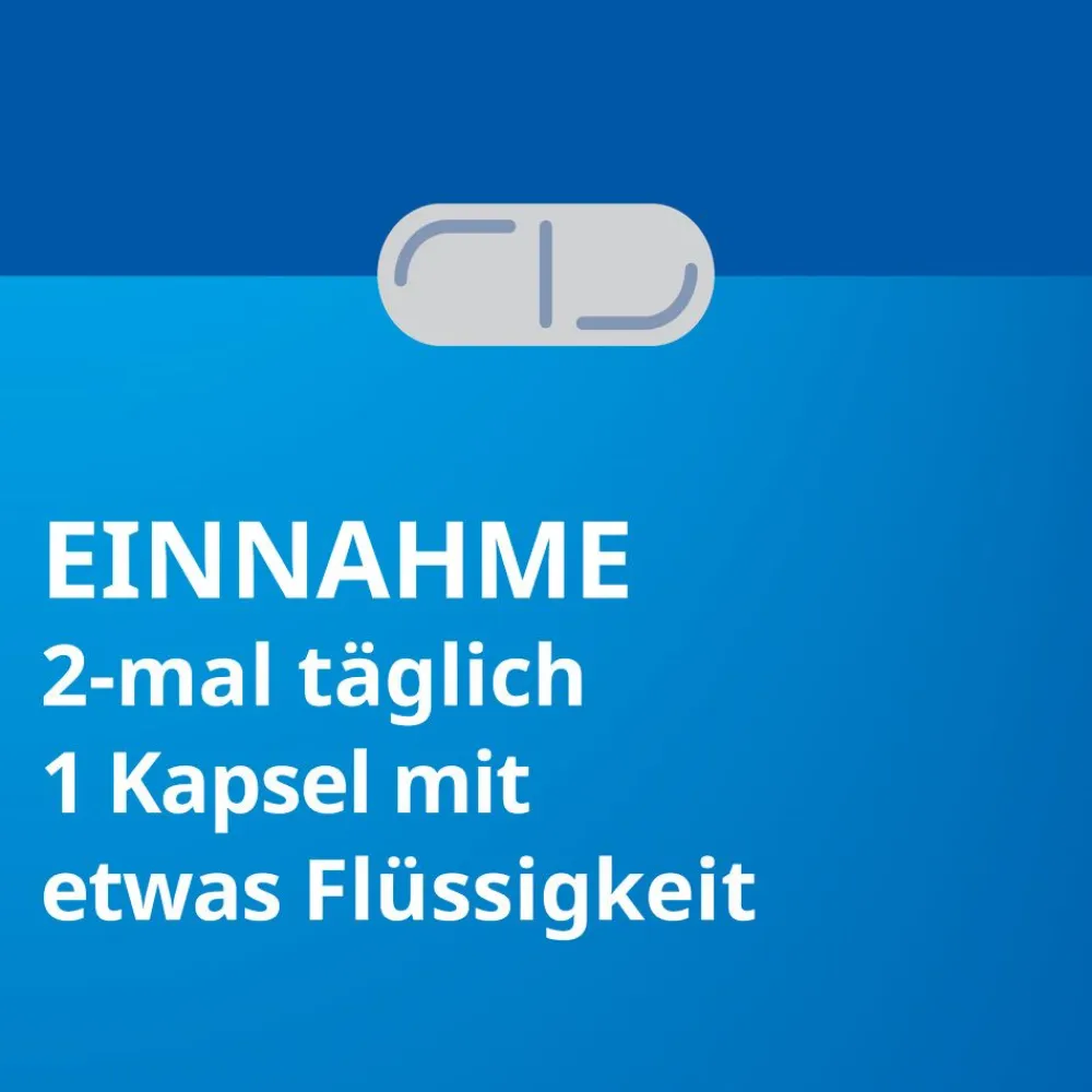 Silymarin STADA® 156 mg Hartkapseln Mariendistelfrüchte-Trockenextrakt standardisiert auf 156 mg Silymarin| Best