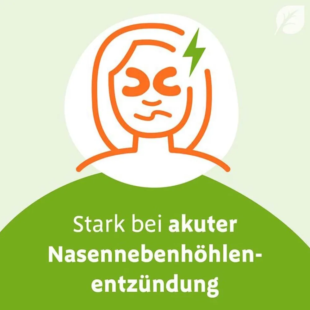 ® eXtract löst den Schleim, öffnet die Nase, befreit den Kopf>Sinupret Best