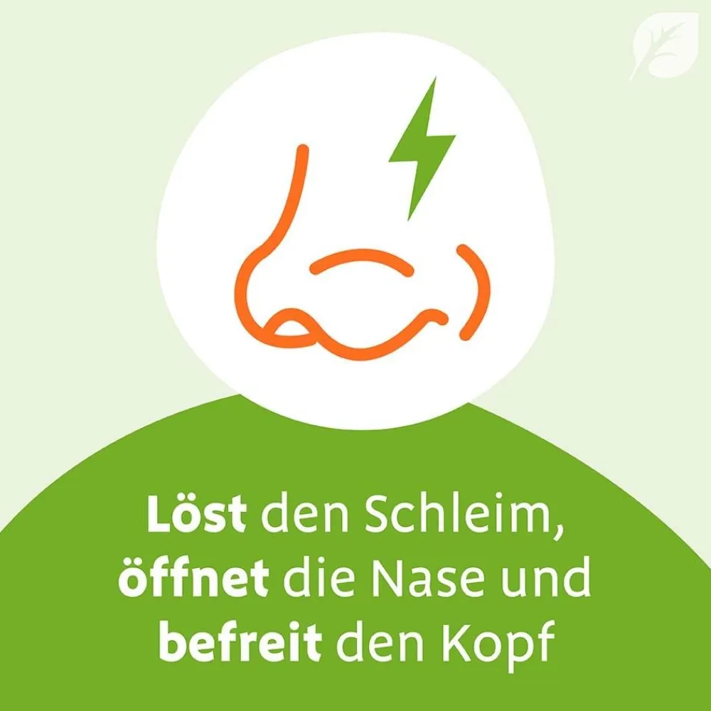 ® Saft - für Kinder bei festsitzendem Schnupfen>Sinupret Online