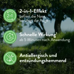 SNUP® Allerg Nasenspray mit Azelastin und Fluticason><noscript><img width=