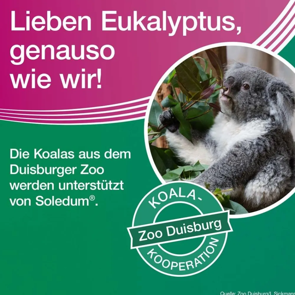 ® addicur zur Zusatzbehandlung bei COPD und Asthma|Soledum Discount
