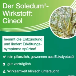 ® Balsam bei Erkältungskrankheiten der Atemwege><noscript><img width=