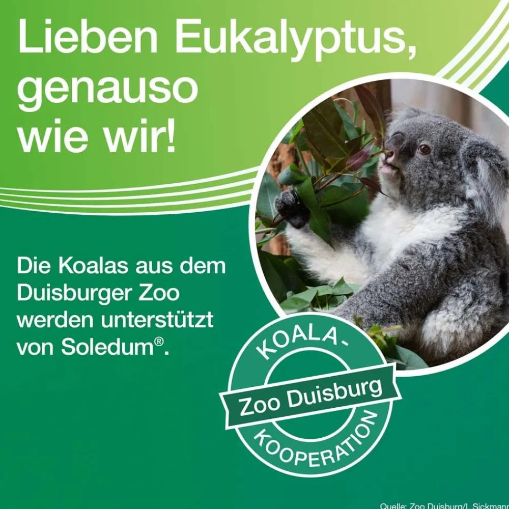 ® Balsam bei Erkältungskrankheiten der Atemwege>Soledum Sale