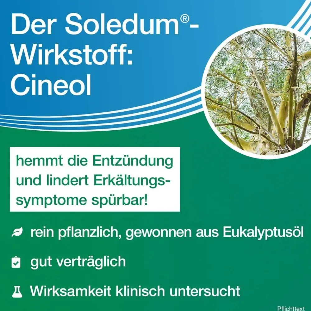 ® forte Kapseln bei Erkältung, Bronchitis & Sinusitis|Soledum