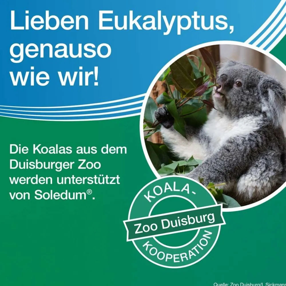 ® forte Kapseln bei Erkältung, Bronchitis & Sinusitis|Soledum