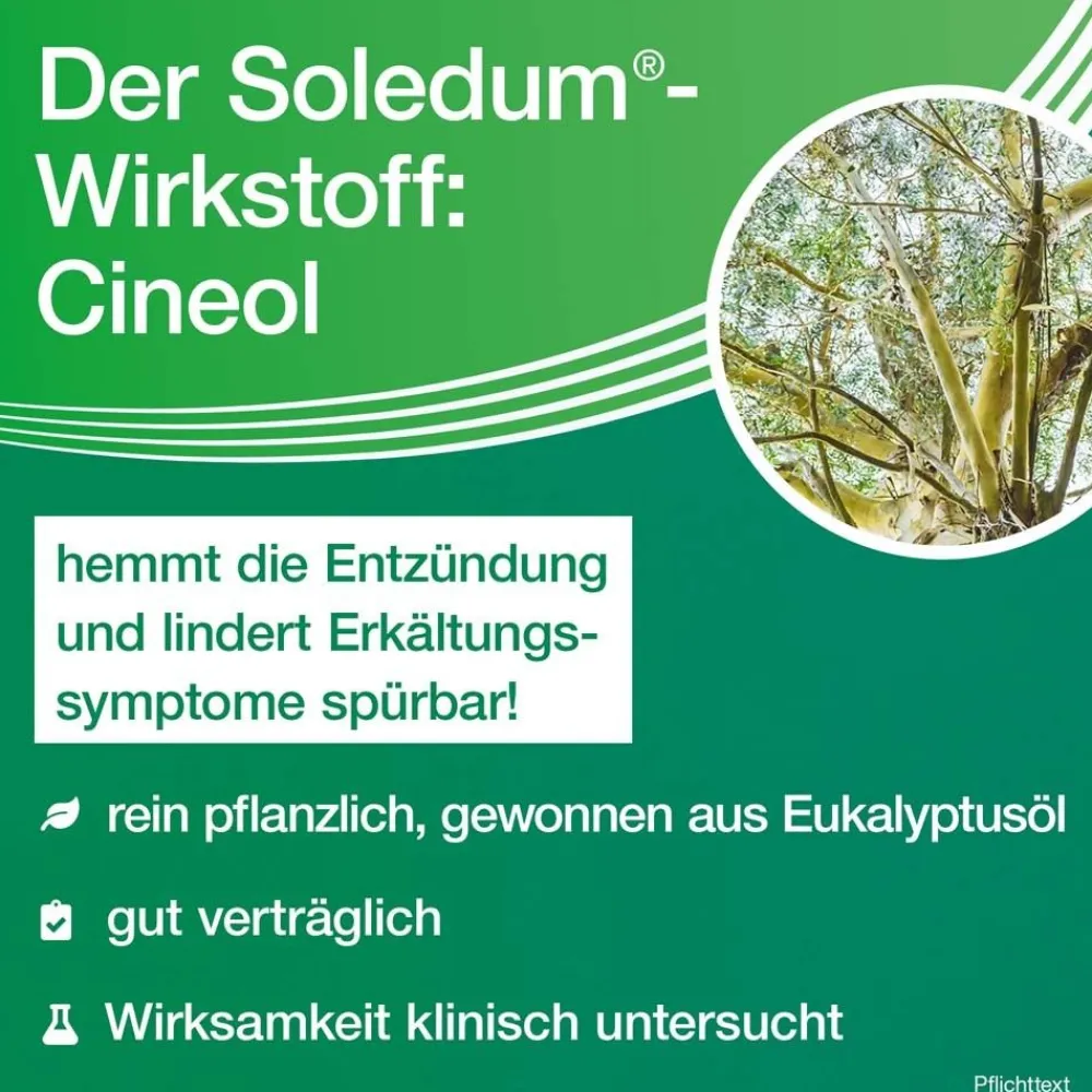 Soledum® Kapseln bei Erkältung, Bronchitis & Sinusitis|Soledum Kapseln Clearance