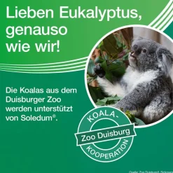 Soledum® Kapseln bei Erkältung, Bronchitis & Sinusitis|Soledum Kapseln Clearance