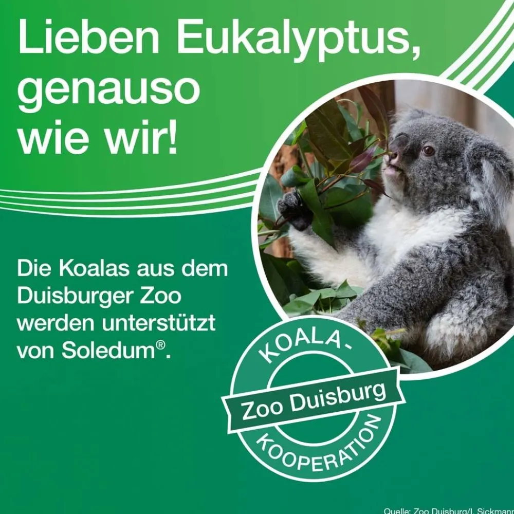 Soledum® Kapseln bei Erkältung, Bronchitis & Sinusitis|Soledum Kapseln Clearance