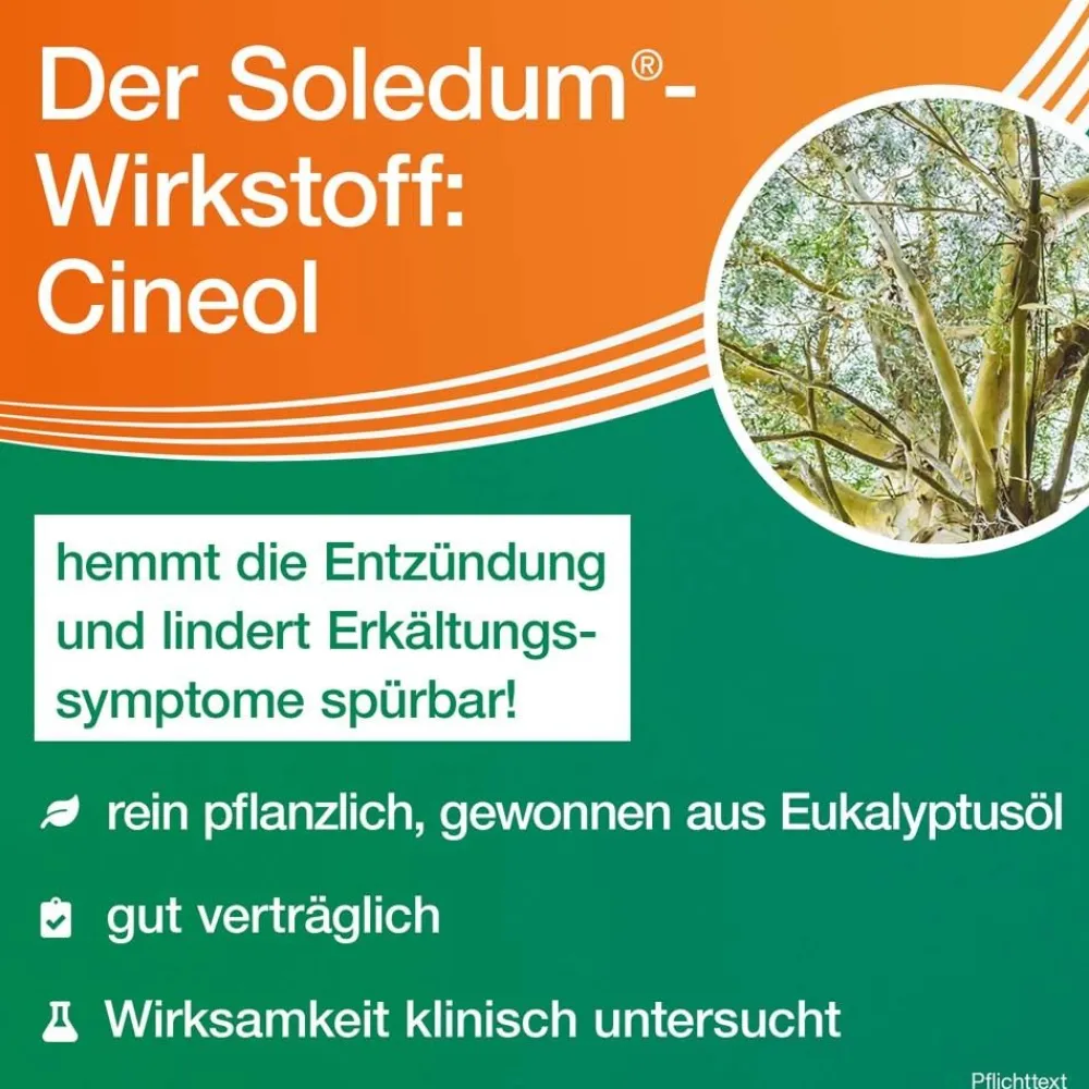 ® Kapseln junior bei Erkältung, Bronchitis & Sinusitis>Soledum Hot