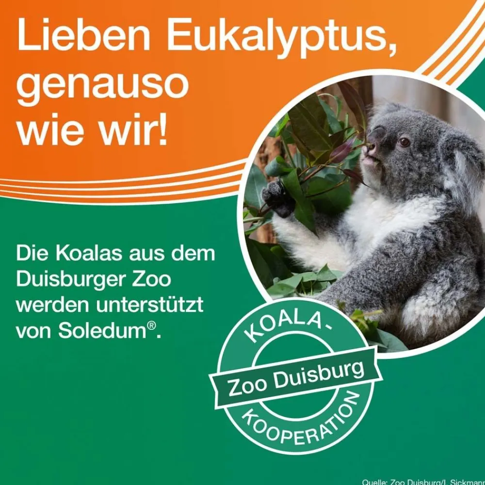 ® Kapseln junior bei Erkältung, Bronchitis & Sinusitis>Soledum Hot