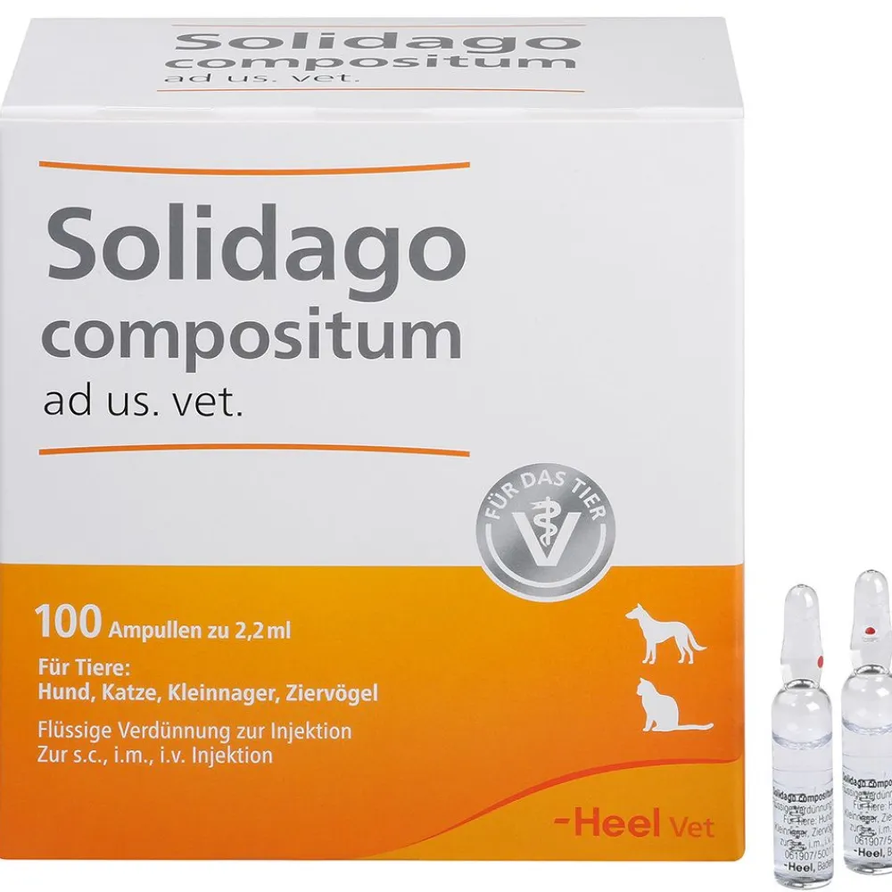Solidago compositum ad us. vet. Ampullen> Hot