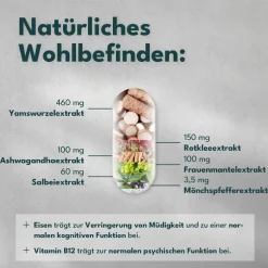 SOLVISAN® Meno Balance Wechseljahre | Rotklee, Mönchspfeffer, Yamswurzel><noscript><img width=