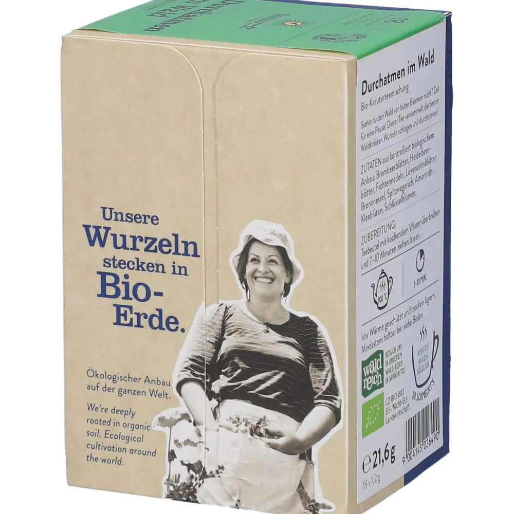 ® Durchatmen im Wald Tee>SonnentoR