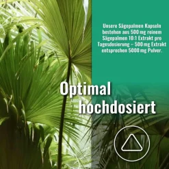 Sports & Health Saw Palmetto Sägepalme Kapseln><noscript><img width=