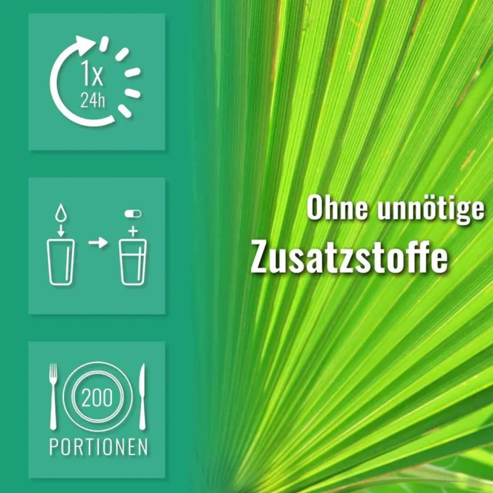 Sports & Health Saw Palmetto Sägepalme Kapseln> Clearance