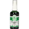 Teufelskrallenspray>St. Severin Online