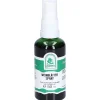 Weinblätter Spray|St. Severin New
