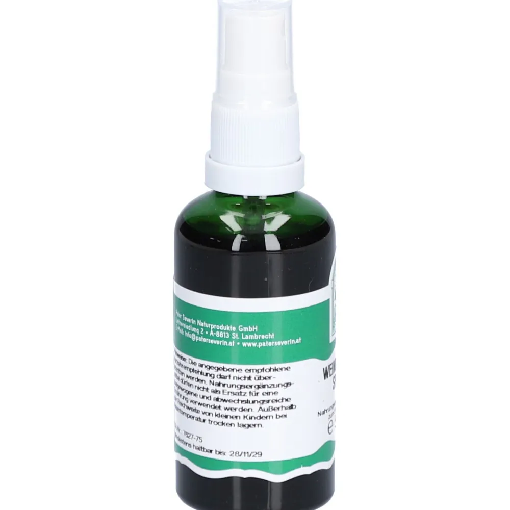Weinblätter Spray|St. Severin New