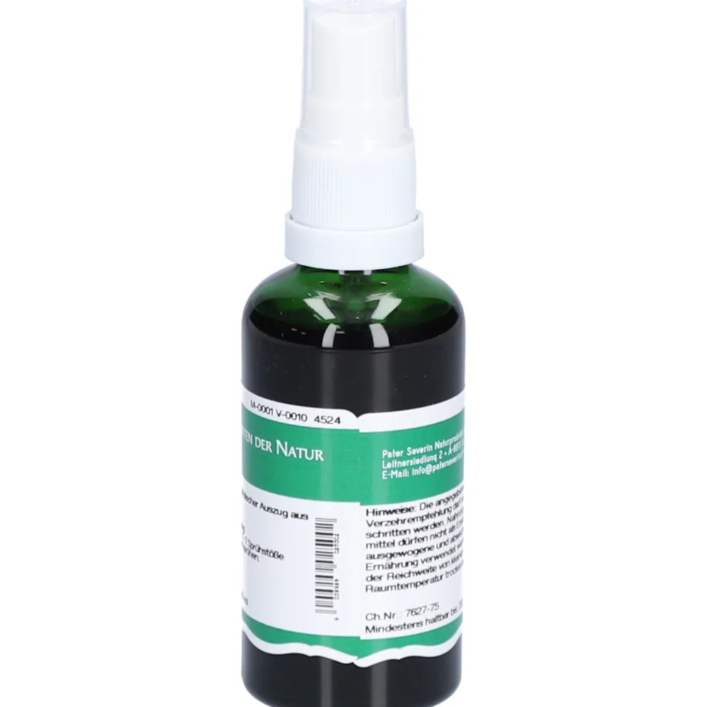 Weinblätter Spray|St. Severin New