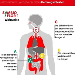 ® 1 Probiotika für die Bronchien und Atemwege|Symbioflor Hot