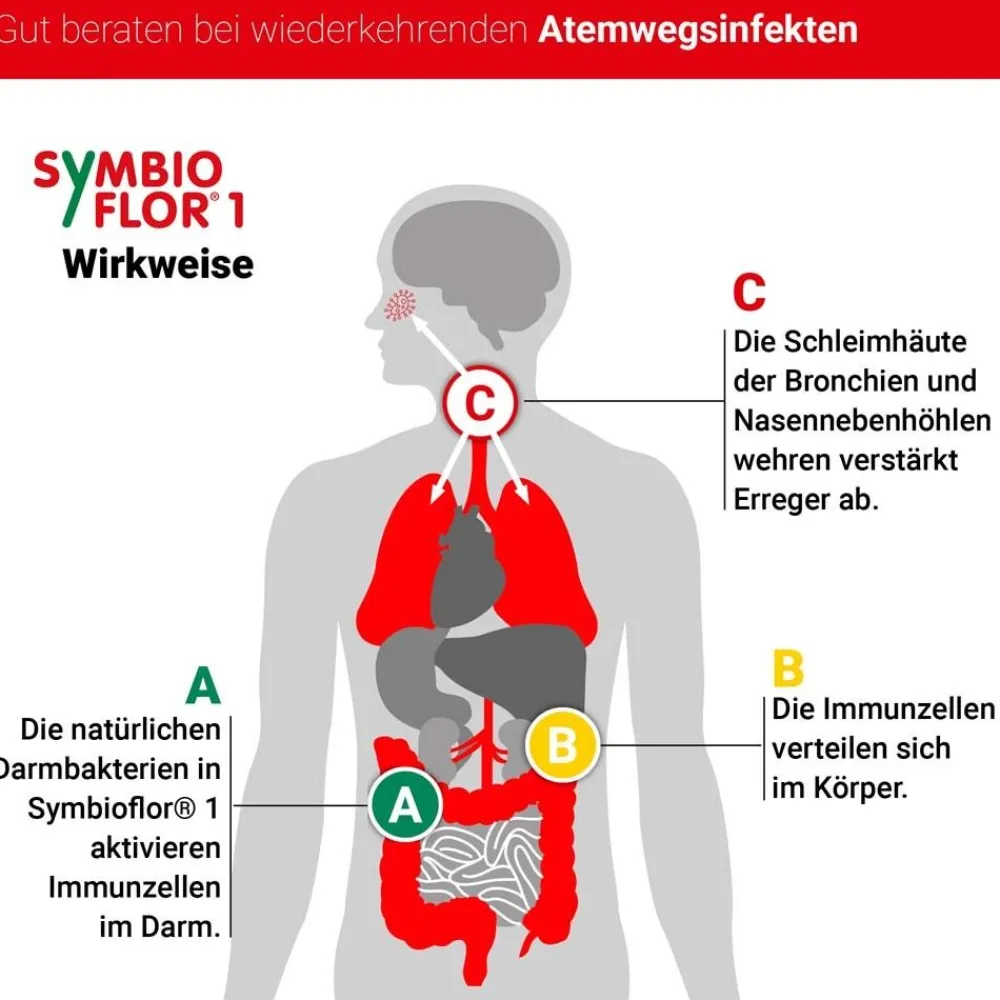 ® 1 Probiotika für die Bronchien und Atemwege|Symbioflor Hot