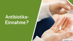 PROBIO-CULT® DUO zurtäglichen Darmpflege|Syxyl Outlet