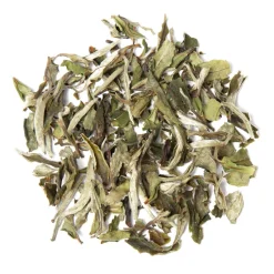 tea exclusive - Pai Mu Tan Weißer Tee China bio> Discount