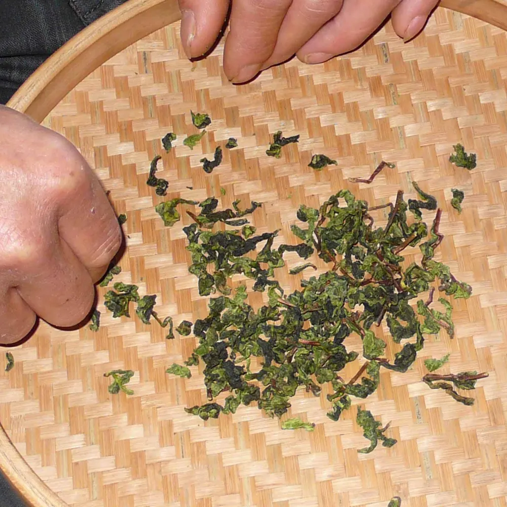 tea exclusive - Superior Oolong Tee China| Online