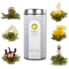 tea exclusive - Teeblumen-Mix Flower Fantasy> Hot
