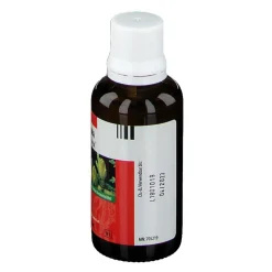 Thuja WA Oligoplex®| Outlet