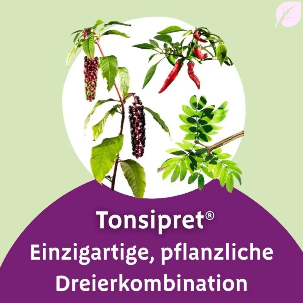 ® Tabletten>Tonsipret Discount