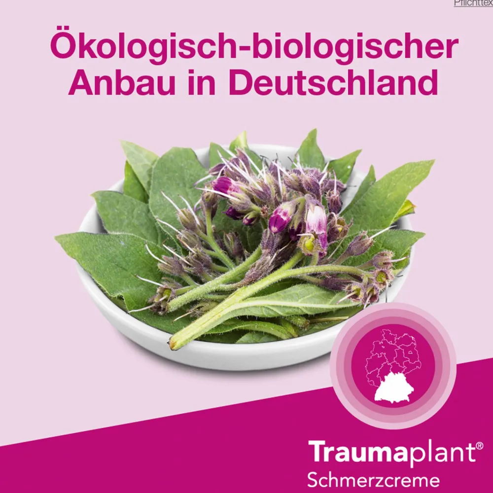 ® Schmerzcreme>Traumaplant Best