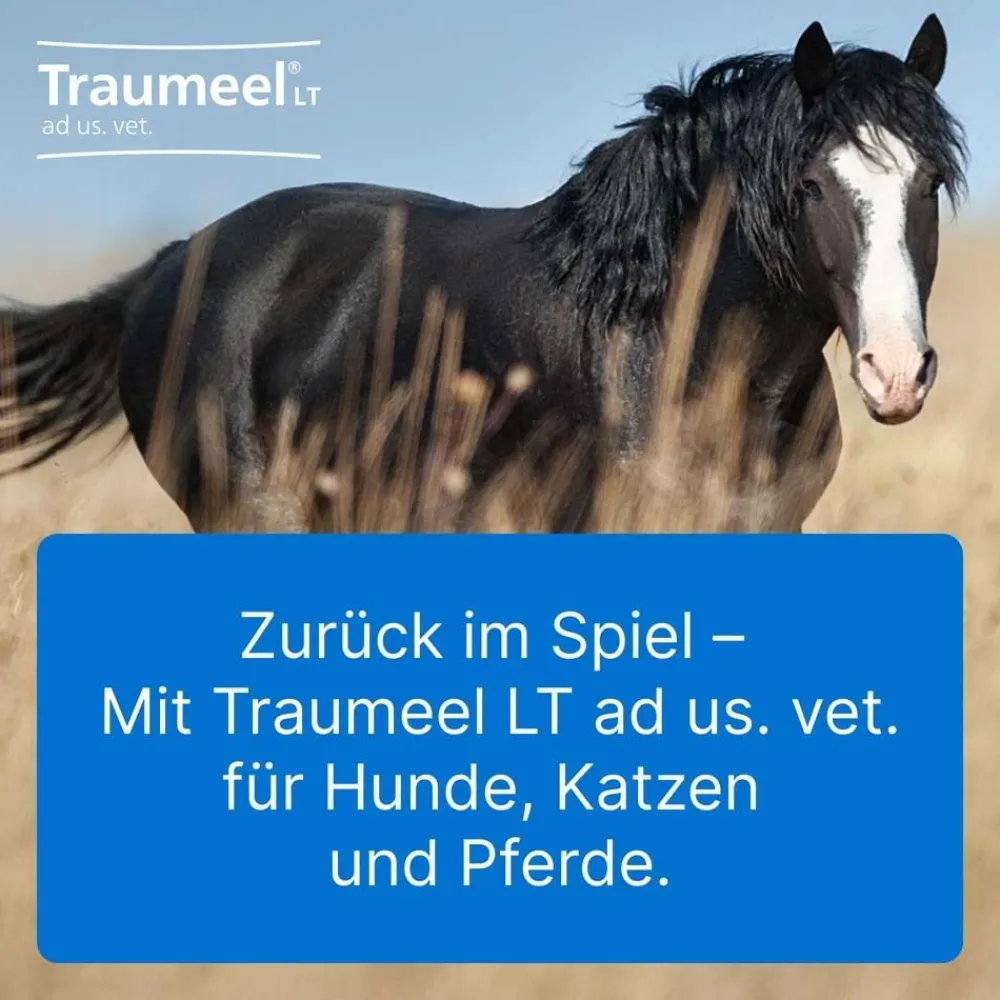 Traumeel® LT ad us. vet.>Traumeel T ad us. vet. Best