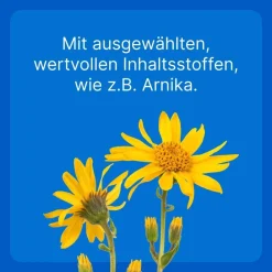 Traumeel® LT ad us. vet.><noscript><img width=