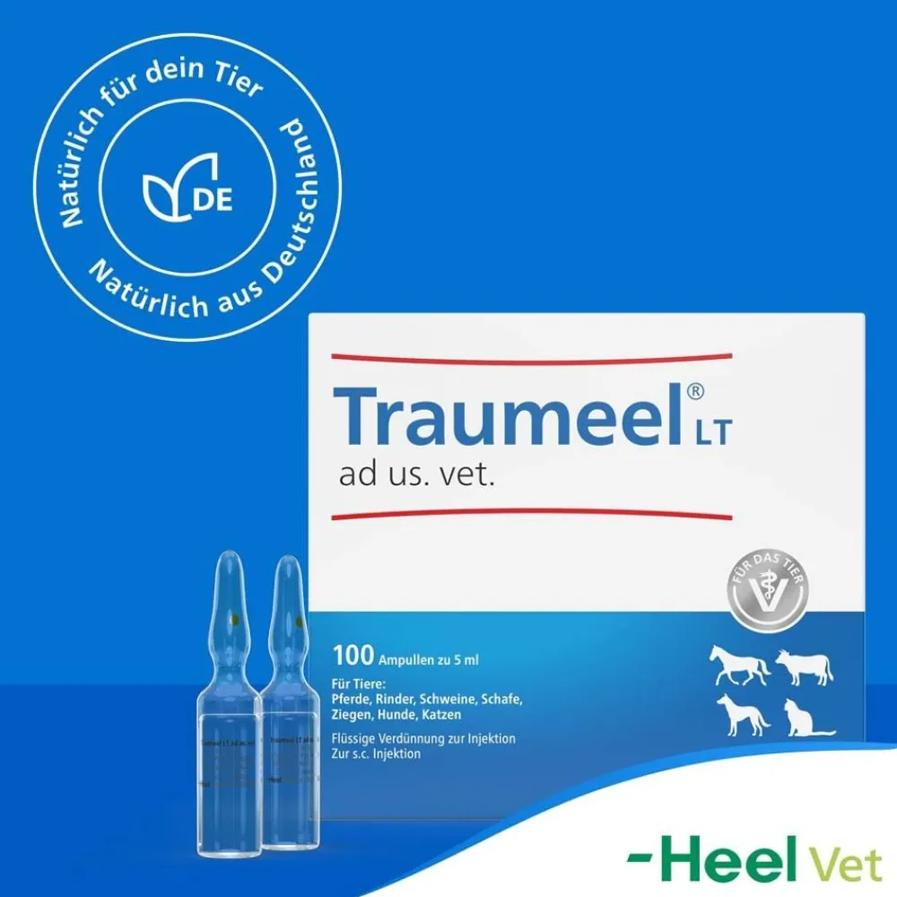 Traumeel® LT ad us. vet.>Traumeel T ad us. vet. Best