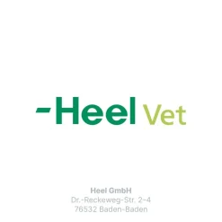 ® LT ad us. vet.|Traumeel New