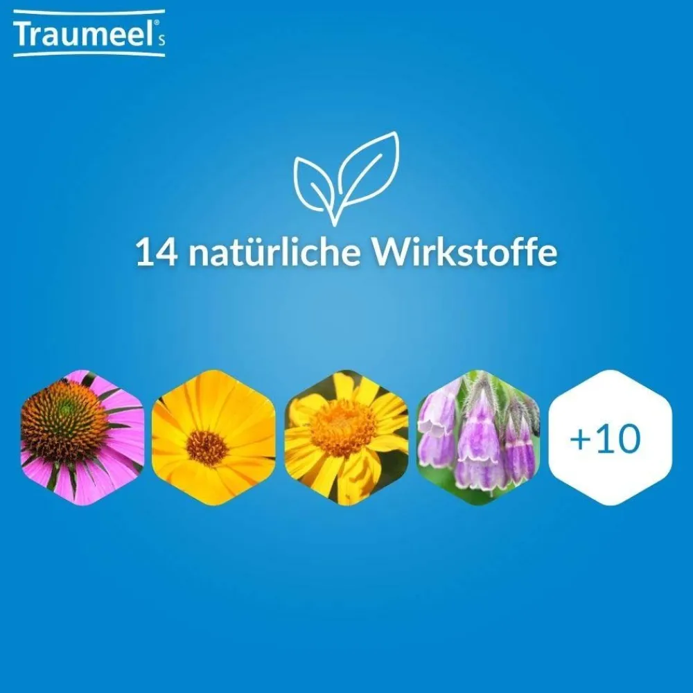 ® S|Traumeel Hot