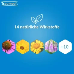 ® S|Traumeel Hot