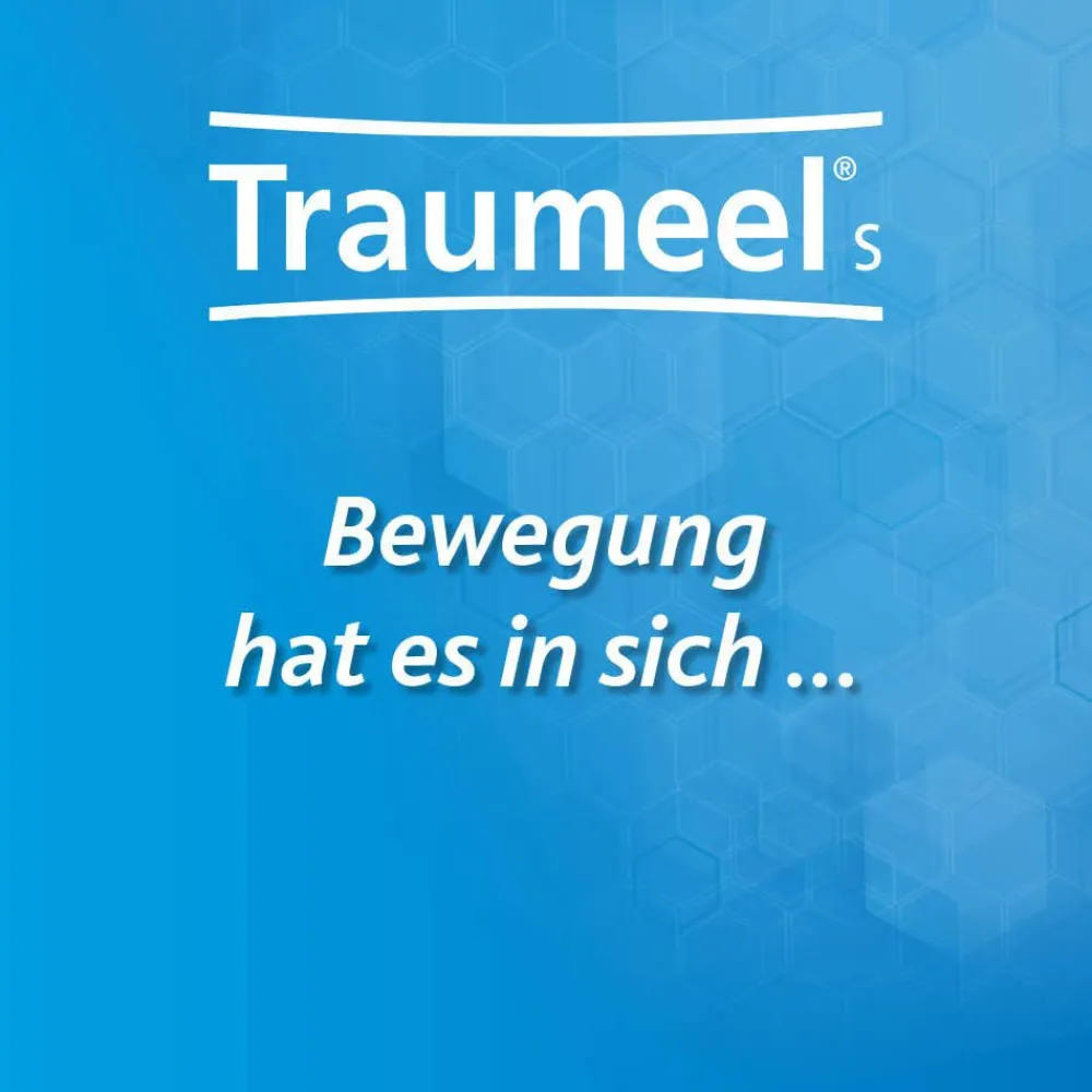® S 250 Tabletten + ® S 100 g Creme>Traumeel Hot