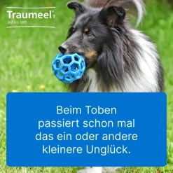 ® T ad us. vet.>Traumeel Online