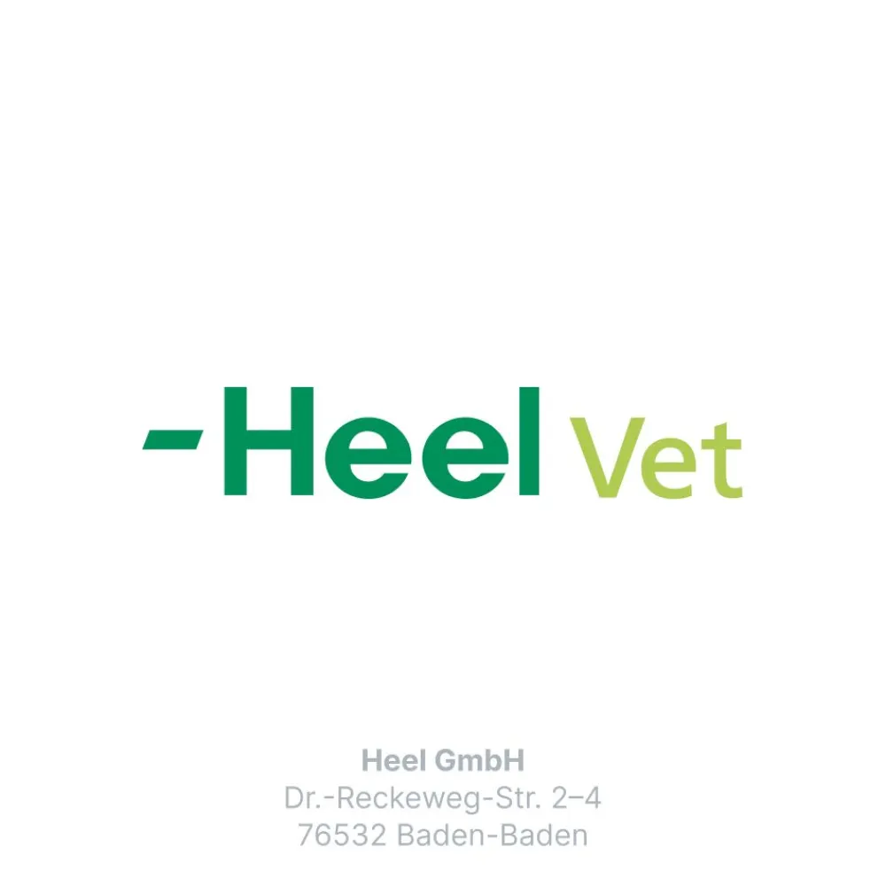 ® T ad us. vet.>Traumeel Online